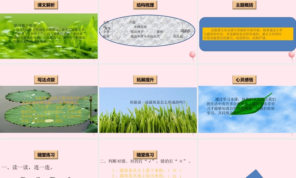 一年级语文下册 阅读四《露珠》课件3 教科版-教科版小学一年级下册语文课件