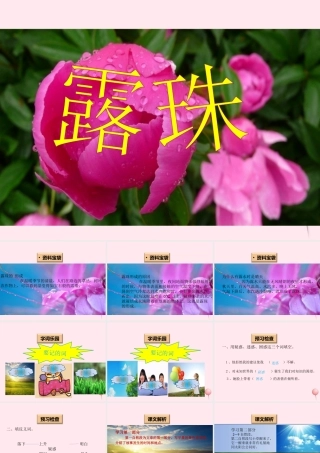 一年级语文下册 阅读四《露珠》课件3 教科版-教科版小学一年级下册语文课件