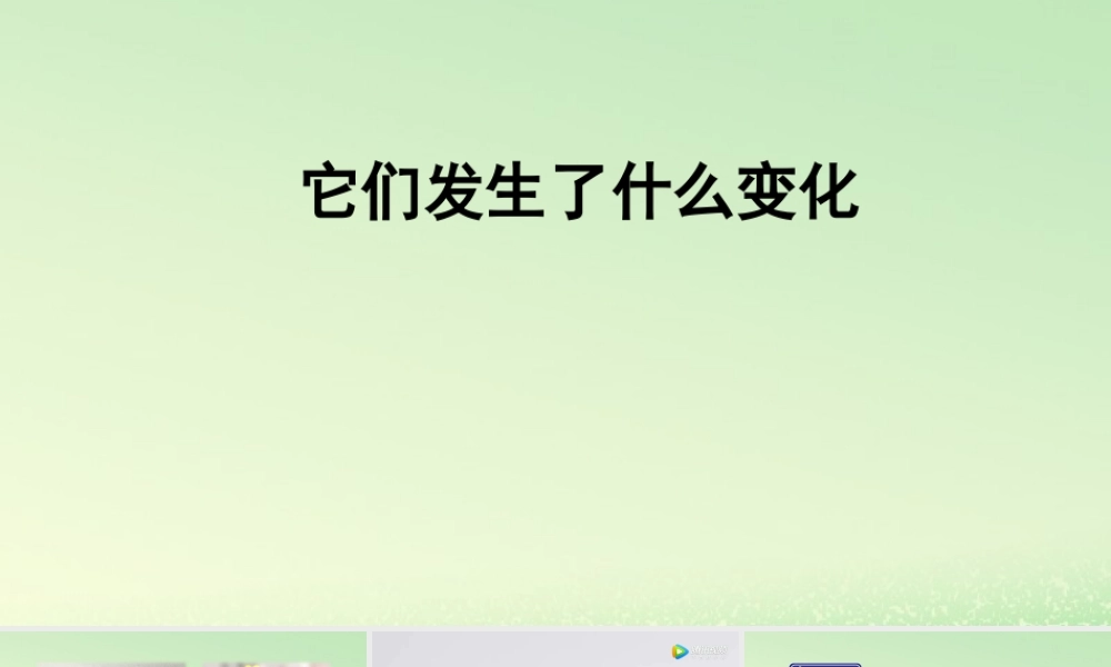 三年级科学上册 水 8 《它们发生了什么变化》教学课件 教科版-教科版小学三年级上册自然科学课件