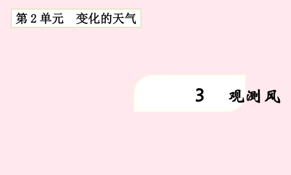 三年级科学下册 2.3《观察风》课件1 湘教版-湘教版小学三年级下册自然科学课件