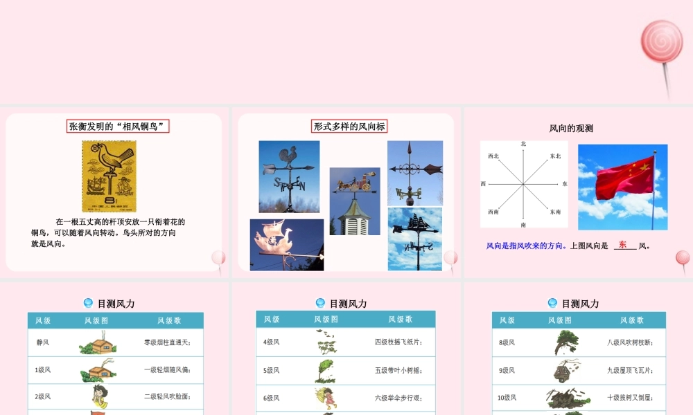 三年级科学下册 2.3《观察风》课件1 湘教版-湘教版小学三年级下册自然科学课件