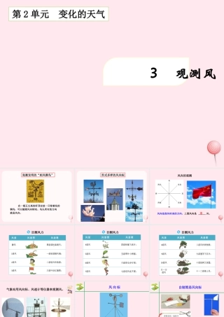 三年级科学下册 2.3《观察风》课件1 湘教版-湘教版小学三年级下册自然科学课件