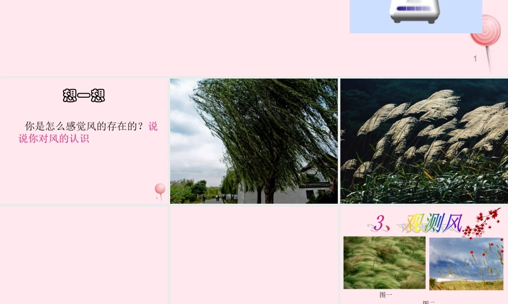 三年级科学下册 2.3《观察风》课件2 湘教版-湘教版小学三年级下册自然科学课件