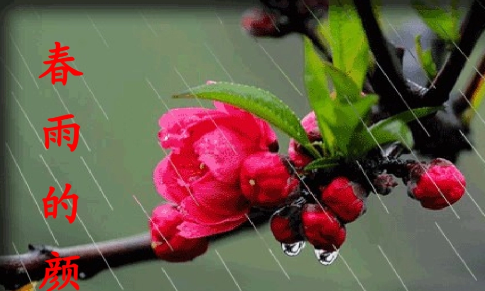 一年级语文下册 阅读五 第10课《春雨的颜色》课件3 教科版-教科版小学一年级下册语文课件