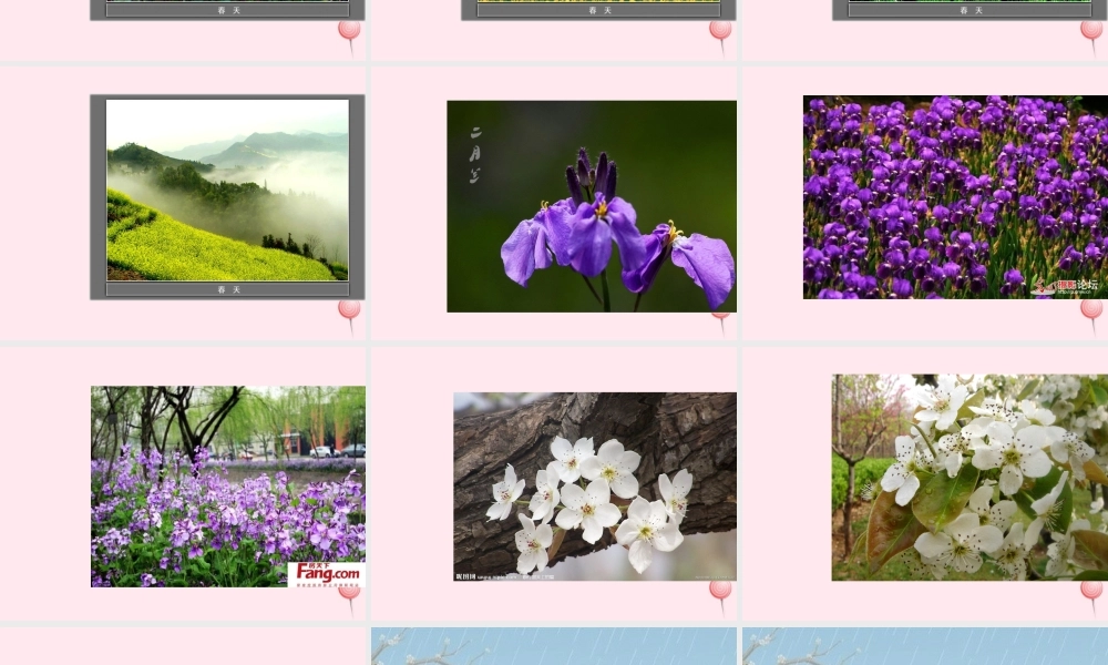 一年级语文下册 阅读五 第10课《春雨的颜色》课件4 教科版-教科版小学一年级下册语文课件