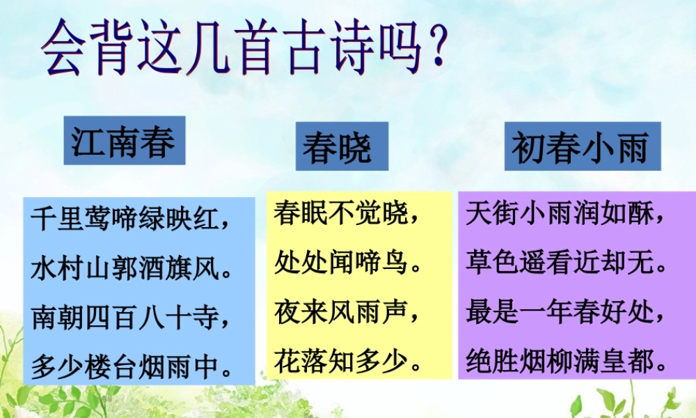 三年级科学下册 2.4《雨下的有多大》课件3 湘教版-湘教版小学三年级下册自然科学课件