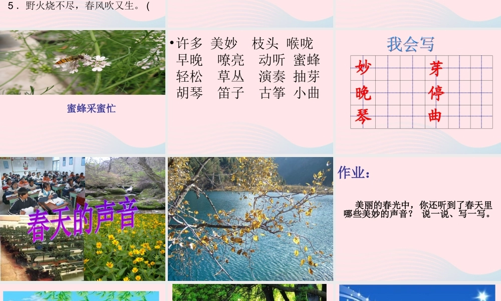 一年级语文下册 阅读五《春天的声音》课件1 教科版-教科版小学一年级下册语文课件
