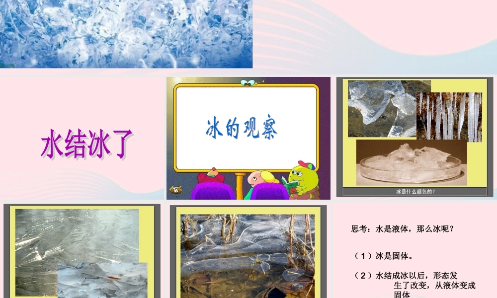 三年级科学下册 温度与水的变化 3 水结冰了课件 教科版-教科版小学三年级下册自然科学课件