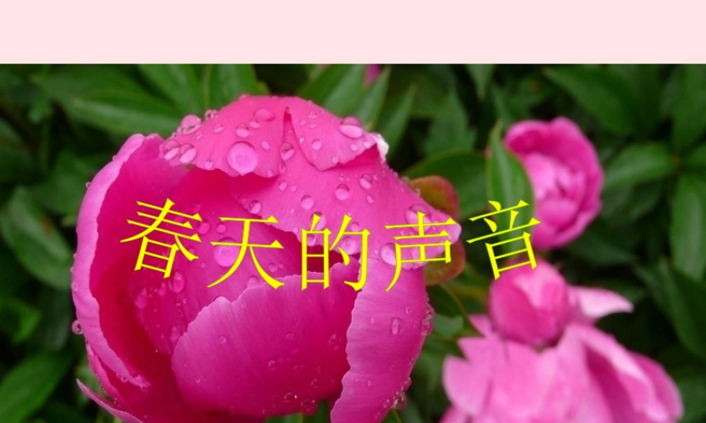 一年级语文下册 阅读五《春天的声音》课件2 教科版-教科版小学一年级下册语文课件