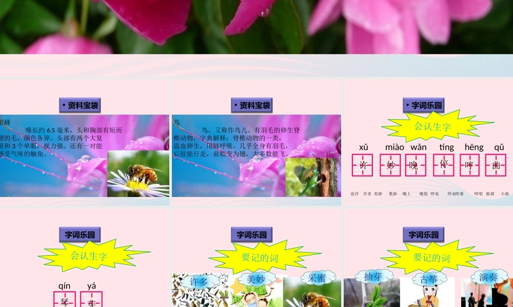 一年级语文下册 阅读五《春天的声音》课件2 教科版-教科版小学一年级下册语文课件