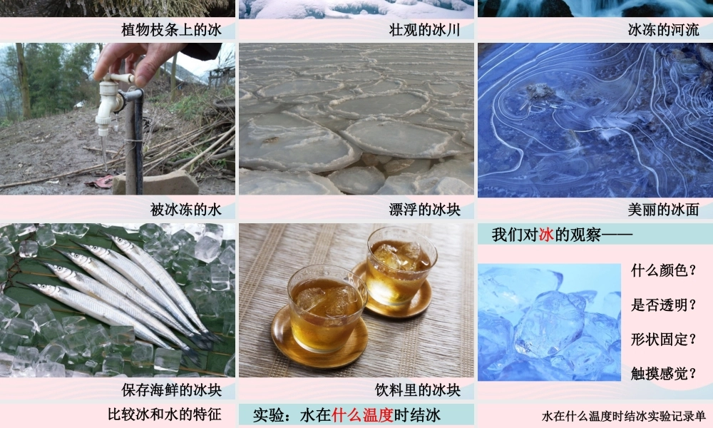 三年级科学下册 温度与水的变化 3水结冰了课件 教科版-教科版小学三年级下册自然科学课件