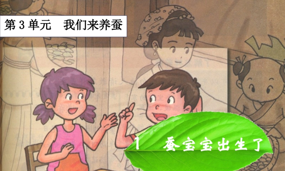 三年级科学下册 3.1《蚕宝宝出生了》课件1 湘教版-湘教版小学三年级下册自然科学课件