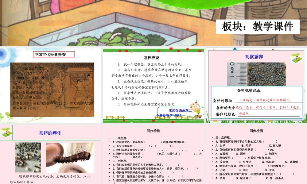 三年级科学下册 3.1《蚕宝宝出生了》课件1 湘教版-湘教版小学三年级下册自然科学课件