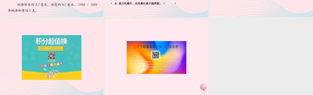 三年级科学下册 3.1《蚕宝宝出生了》课件1 湘教版-湘教版小学三年级下册自然科学课件