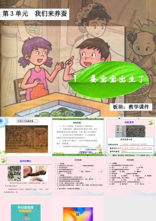 三年级科学下册 3.1《蚕宝宝出生了》课件1 湘教版-湘教版小学三年级下册自然科学课件