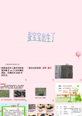 三年级科学下册 3.1《蚕宝宝出生了》课件2 湘教版-湘教版小学三年级下册自然科学课件