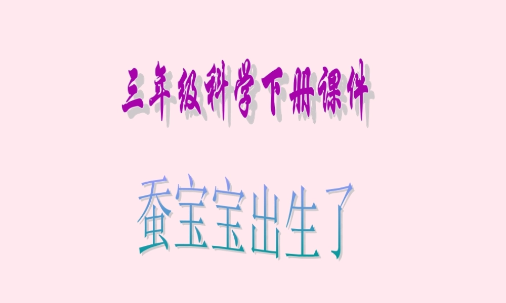 三年级科学下册 3.1《蚕宝宝出生了》课件3 湘教版-湘教版小学三年级下册自然科学课件