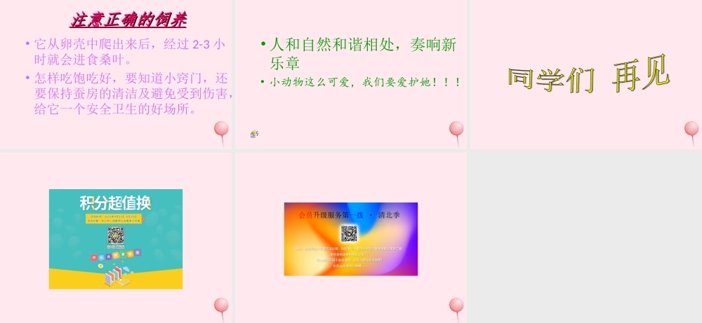 三年级科学下册 3.1《蚕宝宝出生了》课件4 湘教版-湘教版小学三年级下册自然科学课件