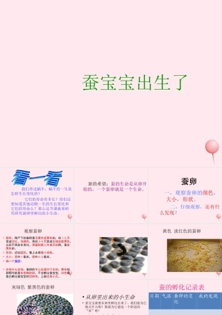 三年级科学下册 3.1《蚕宝宝出生了》课件4 湘教版-湘教版小学三年级下册自然科学课件