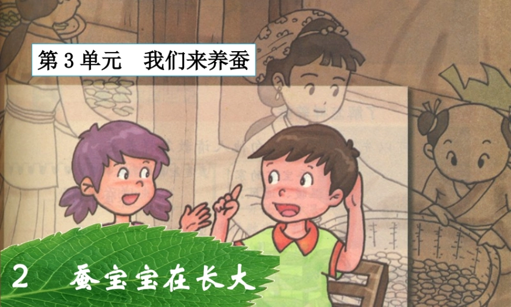 三年级科学下册 3.2《蚕宝宝在长大》课件1 湘教版-湘教版小学三年级下册自然科学课件