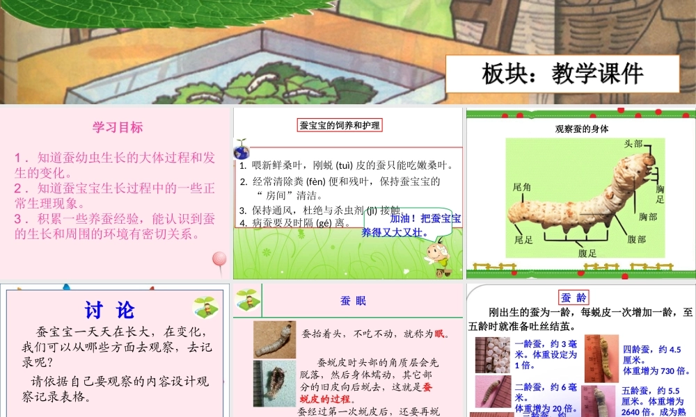 三年级科学下册 3.2《蚕宝宝在长大》课件1 湘教版-湘教版小学三年级下册自然科学课件