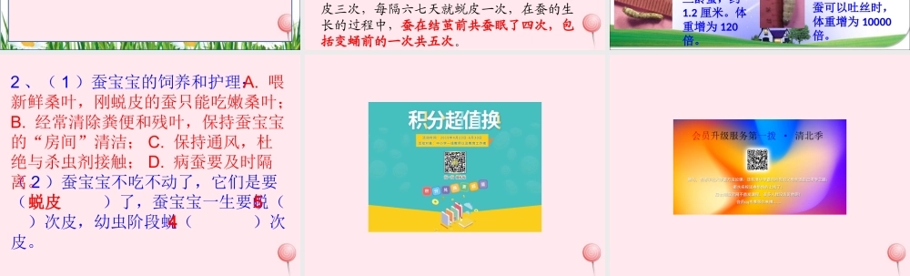 三年级科学下册 3.2《蚕宝宝在长大》课件1 湘教版-湘教版小学三年级下册自然科学课件