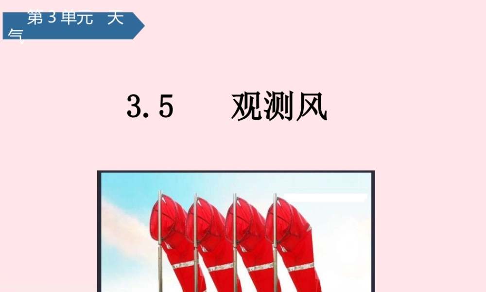 三年级科学上册 天气 5观测风课件 教科版-教科版小学三年级上册自然科学课件