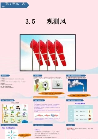 三年级科学上册 天气 5观测风课件 教科版-教科版小学三年级上册自然科学课件