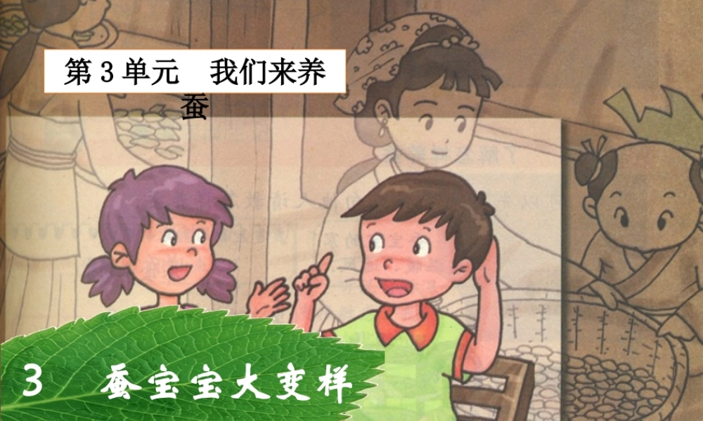 三年级科学下册 3.3《蚕宝宝大变样》课件1 湘教版-湘教版小学三年级下册自然科学课件