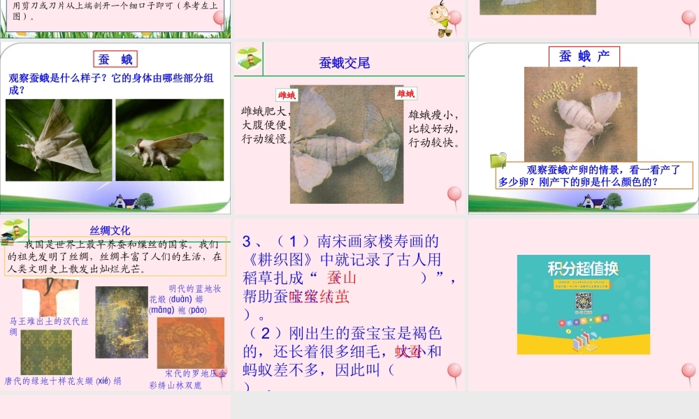 三年级科学下册 3.3《蚕宝宝大变样》课件1 湘教版-湘教版小学三年级下册自然科学课件