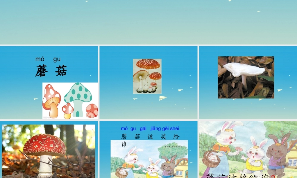 一年级语文下册《蘑菇该奖给谁》（第1课时）课件 苏教版-苏教版小学一年级下册语文课件