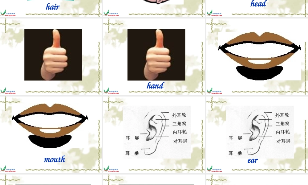 三年级英语上册 Module 2 Unit 4 Wash My Face课件 广州版