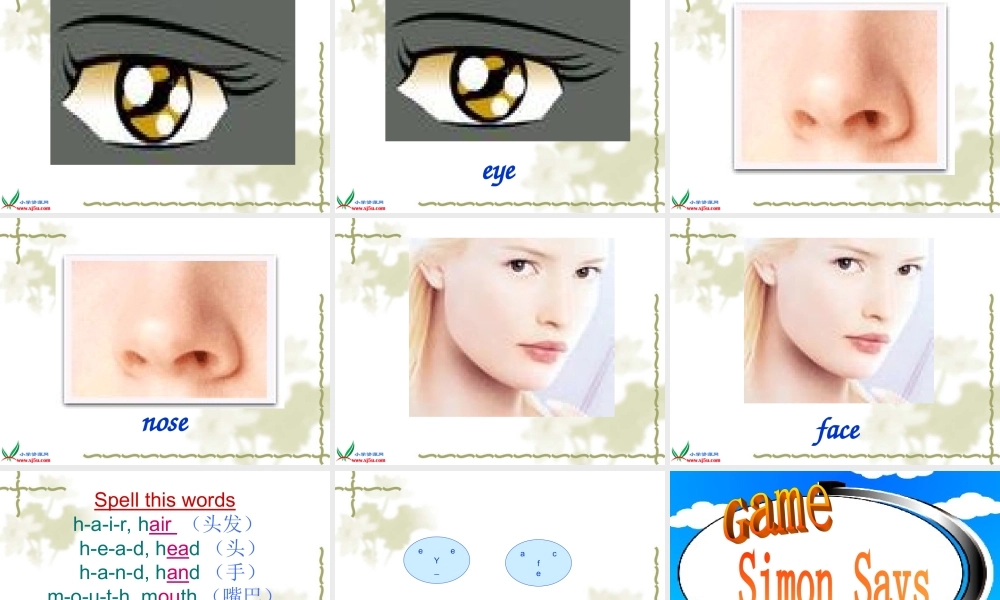 三年级英语上册 Module 2 Unit 4 Wash My Face课件 广州版