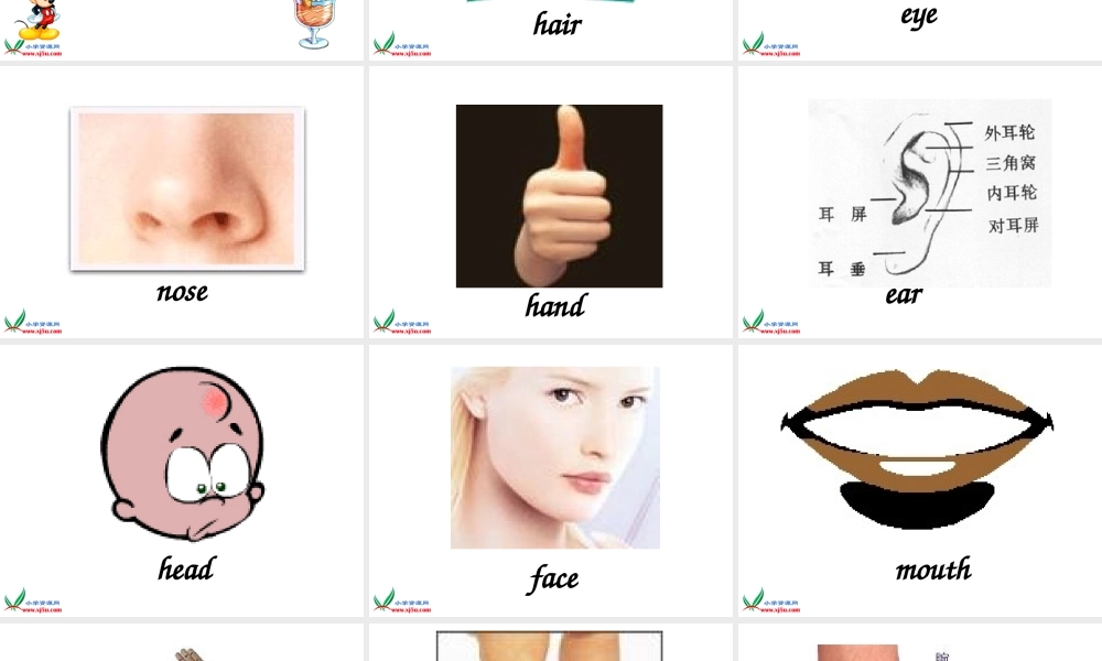 三年级英语上册 Module 2 Unit 5(2)课件 广州版