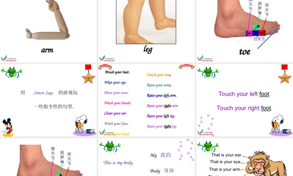 三年级英语上册 Module 2 Unit 5(2)课件 广州版