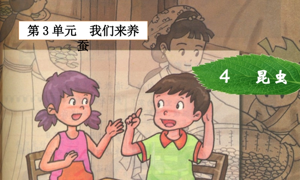 三年级科学下册 3.4《昆虫》课件1 湘教版-湘教版小学三年级下册自然科学课件