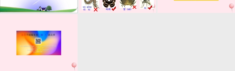 三年级科学下册 3.4《昆虫》课件1 湘教版-湘教版小学三年级下册自然科学课件