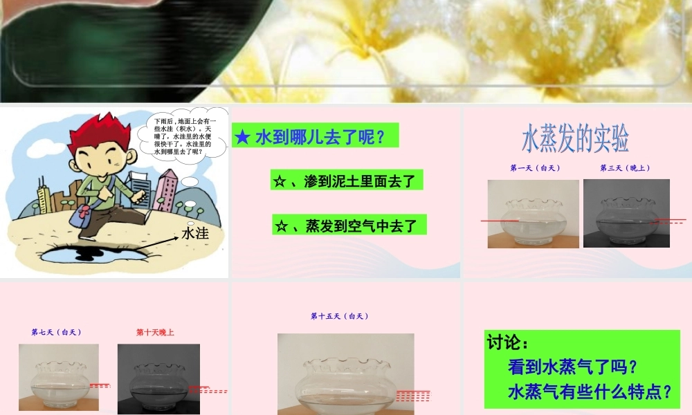 三年级科学下册 温度与水的变化 6 水和水蒸气课件3 教科版-教科版小学三年级下册自然科学课件