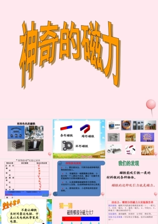 三年级科学下册 4.1《神奇的磁力》课件1 湘教版-湘教版小学三年级下册自然科学课件