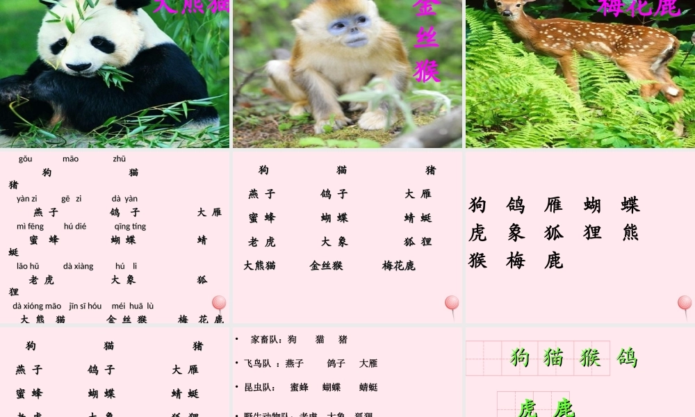 一年级语文下册《识字二》课件2 教科版-教科版小学一年级下册语文课件