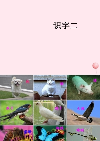 一年级语文下册《识字二》课件2 教科版-教科版小学一年级下册语文课件