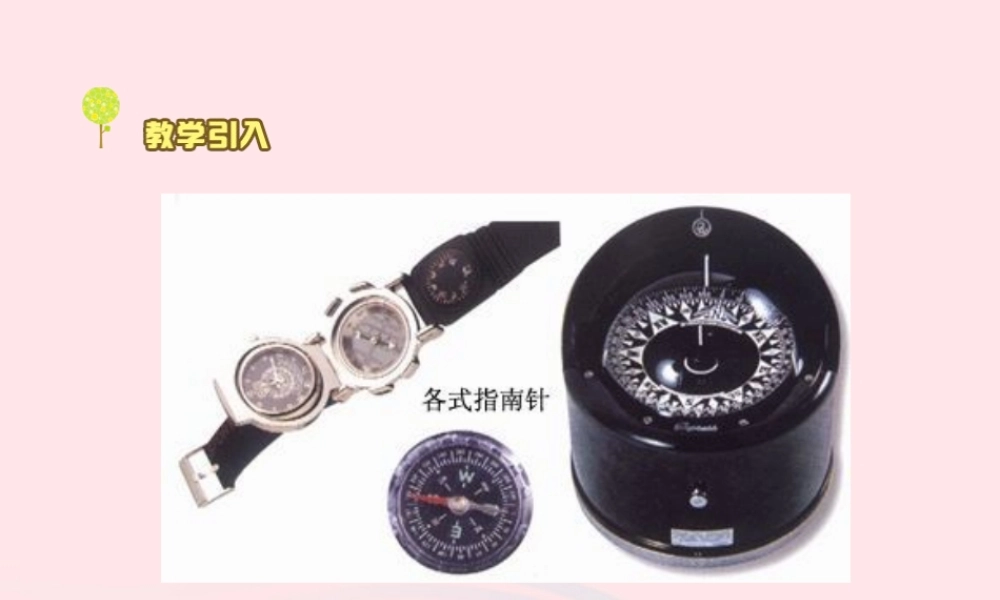 三年级科学下册 4.2《司南的启示》课件1 湘教版-湘教版小学三年级下册自然科学课件