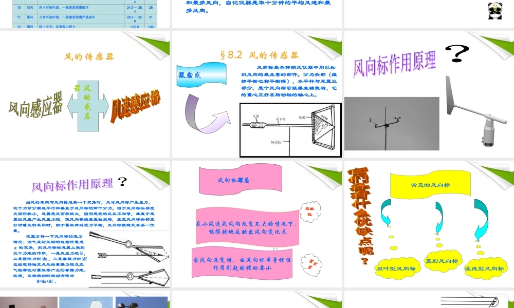 三年级科学上册 我的风向标课件 青岛版
