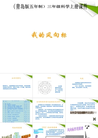 三年级科学上册 我的风向标课件 青岛版