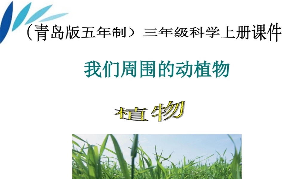 三年级科学上册 我们周围的动植物课件1 青岛版