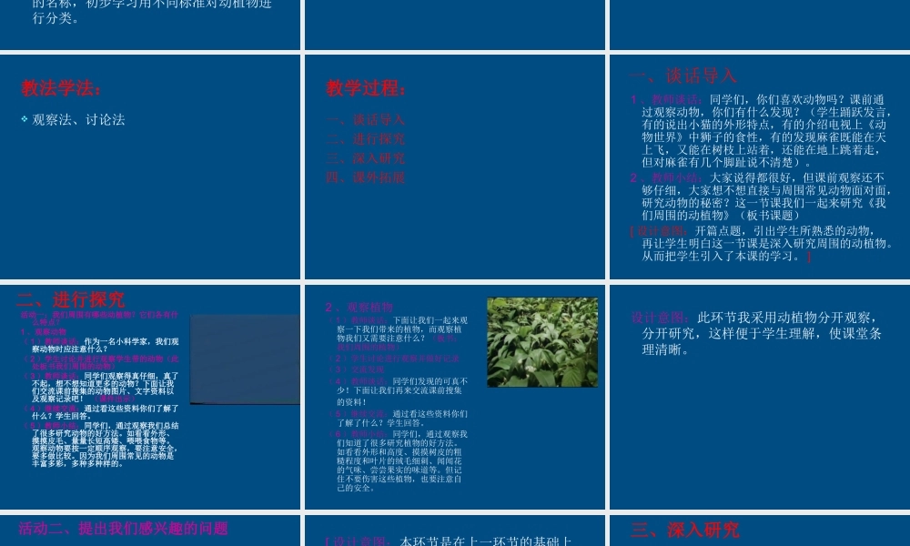 三年级科学上册 我们周围的动植物课件2 青岛版