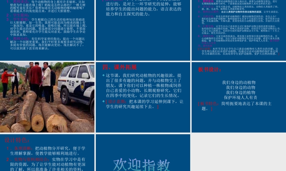 三年级科学上册 我们周围的动植物课件2 青岛版