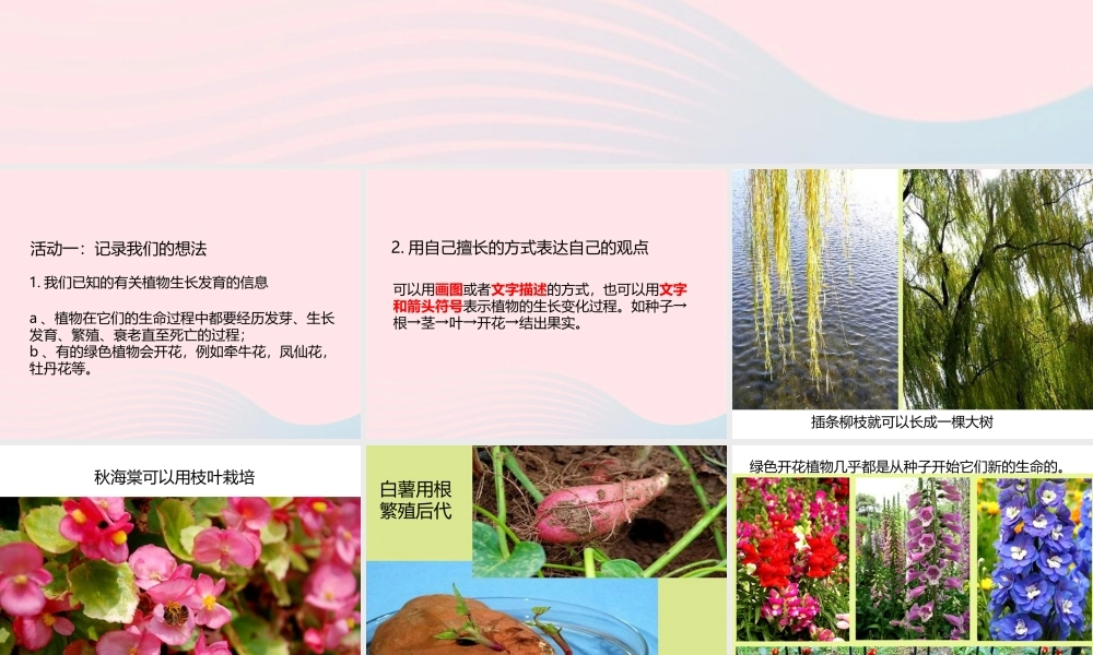三年级科学下册 植物的生长变化 1 植物新生命的开始课件 教科版-教科版小学三年级下册自然科学课件