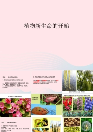 三年级科学下册 植物的生长变化 1 植物新生命的开始课件 教科版-教科版小学三年级下册自然科学课件