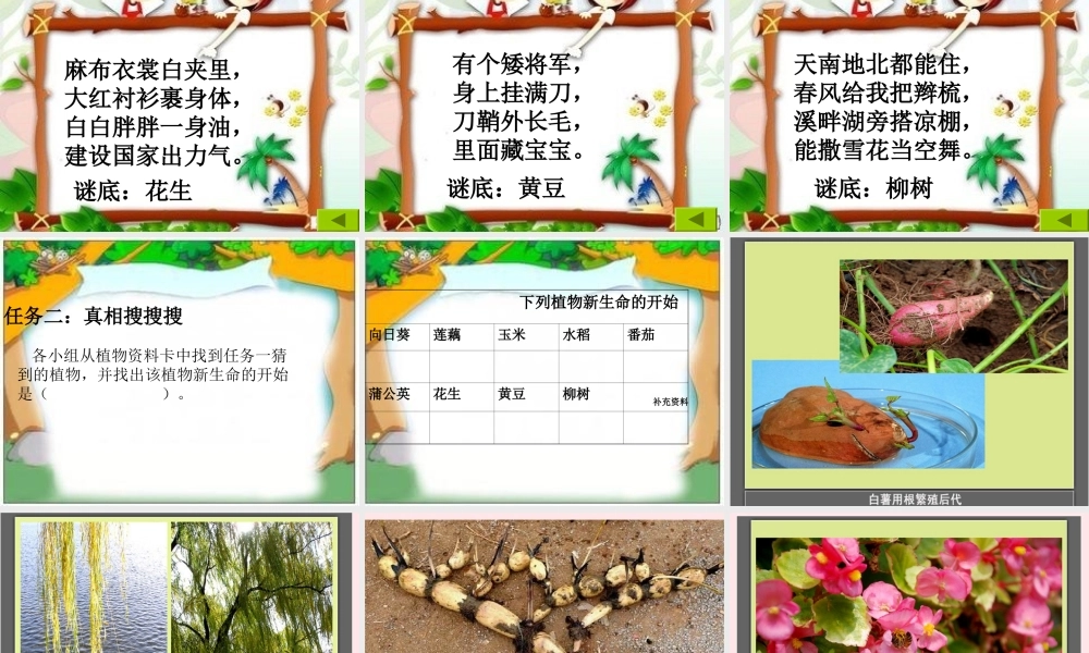 三年级科学下册 植物的生长变化 1 植物新生命的开始课件1 教科版-教科版小学三年级下册自然科学课件